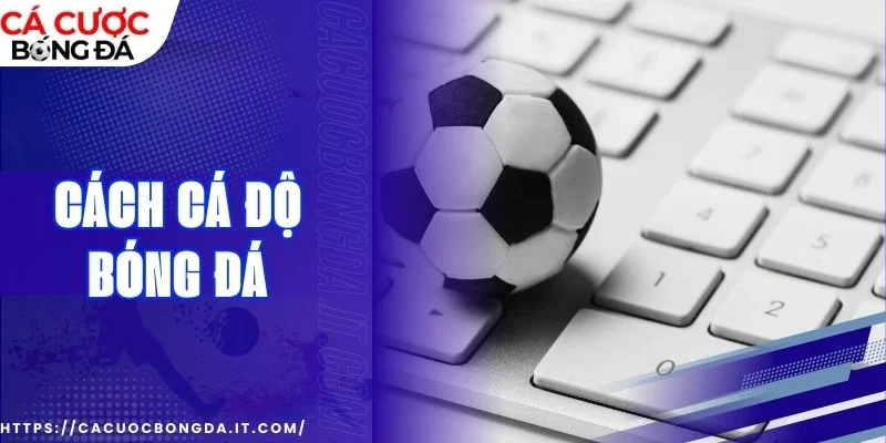 cách cá độ bóng đá