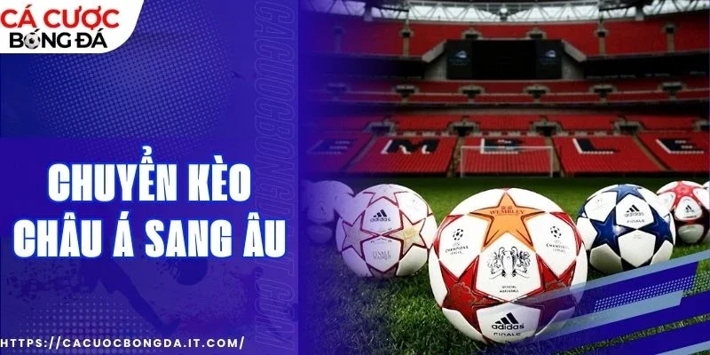 Áp dụng ngay trong soi kèo để tăng khả năng dự đoán