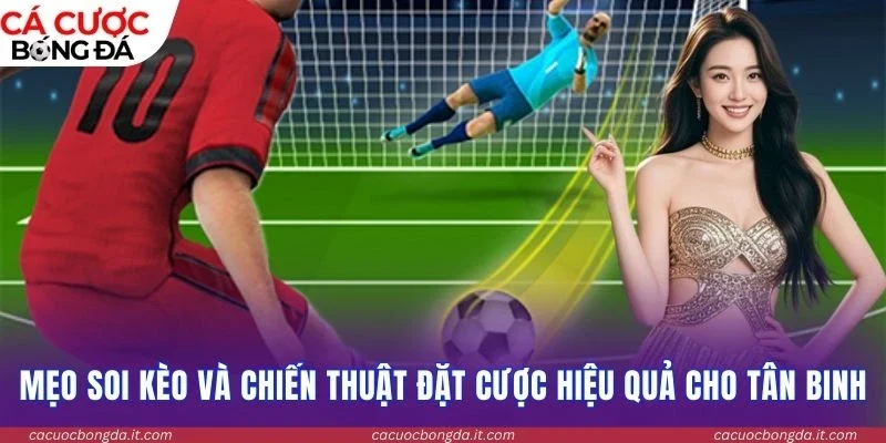 Mẹo soi kèo và chiến thuật đặt cược hiệu quả cho tân binh