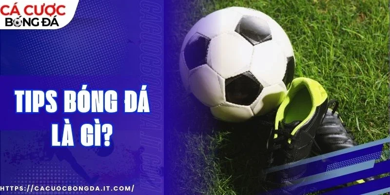 tips bóng đá là gì