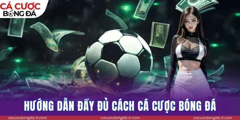 Trang web hướng dẫn đầy đủ cách cá cược bóng đá