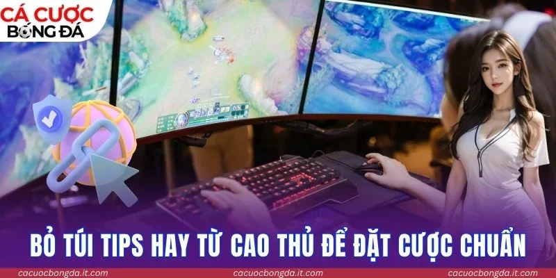 Bỏ túi tips hay từ cao thủ để đặt cược chuẩn