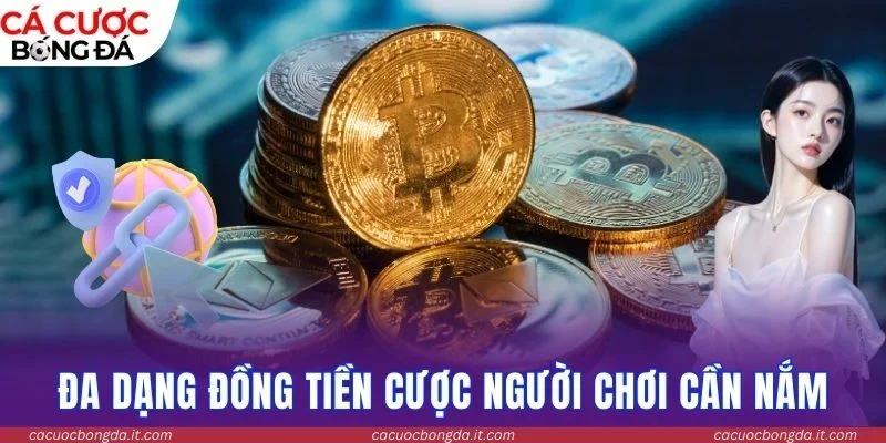 Đa dạng đồng tiền cược người chơi cần nắm