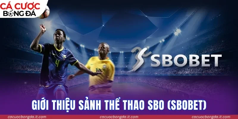 Giới thiệu sảnh Thể thao SBO (Sbobet)