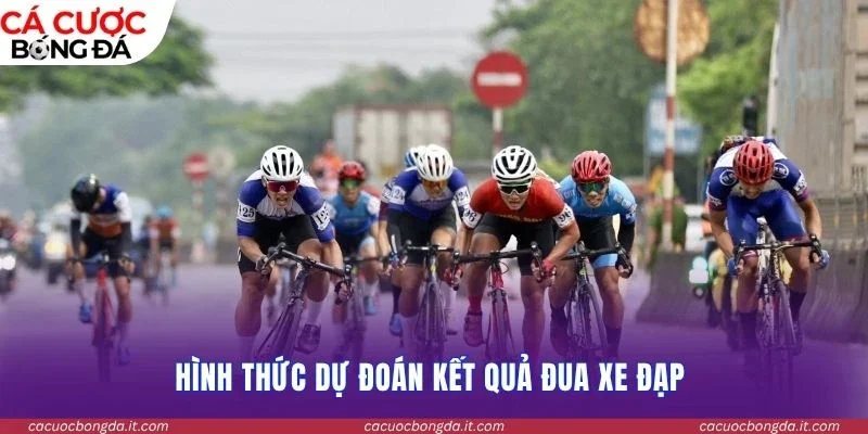Hình thức dự đoán kết quả đua xe đạp 