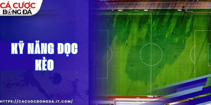 Phát huy kỹ năng đọc kèo đúng thời điểm