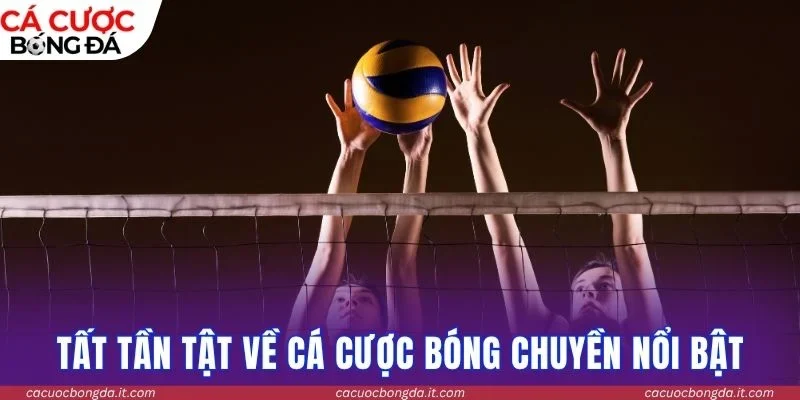 Tất tần tật về cá cược bóng chuyền nổi bật 