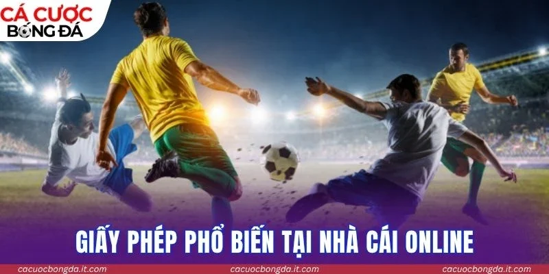 Giấy phép phổ biến tại nhà cái online
