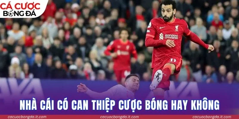 Nhà cái có can thiệp cược bóng hay không